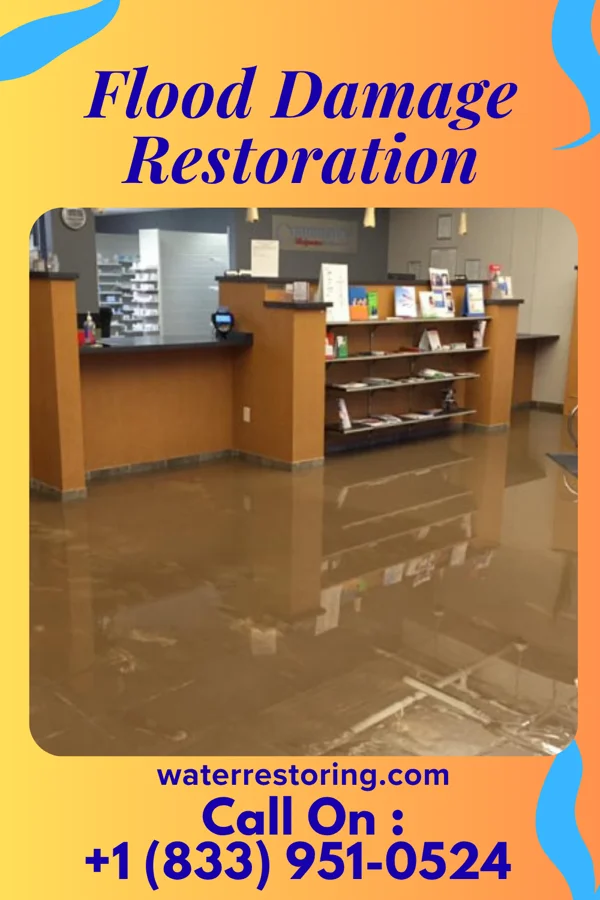 Flood Damage Restoration in Oceana, WV