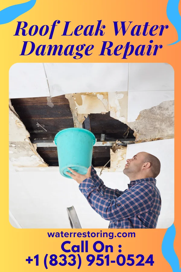 Roof Leak Water Damage Repair in Oceana, WV