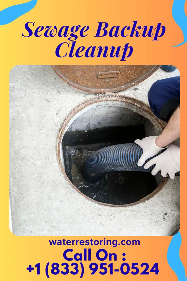 Sewage Backup Cleanup in Oceana, WV
