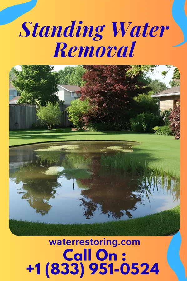 Standing Water Removal in Oceana, WV